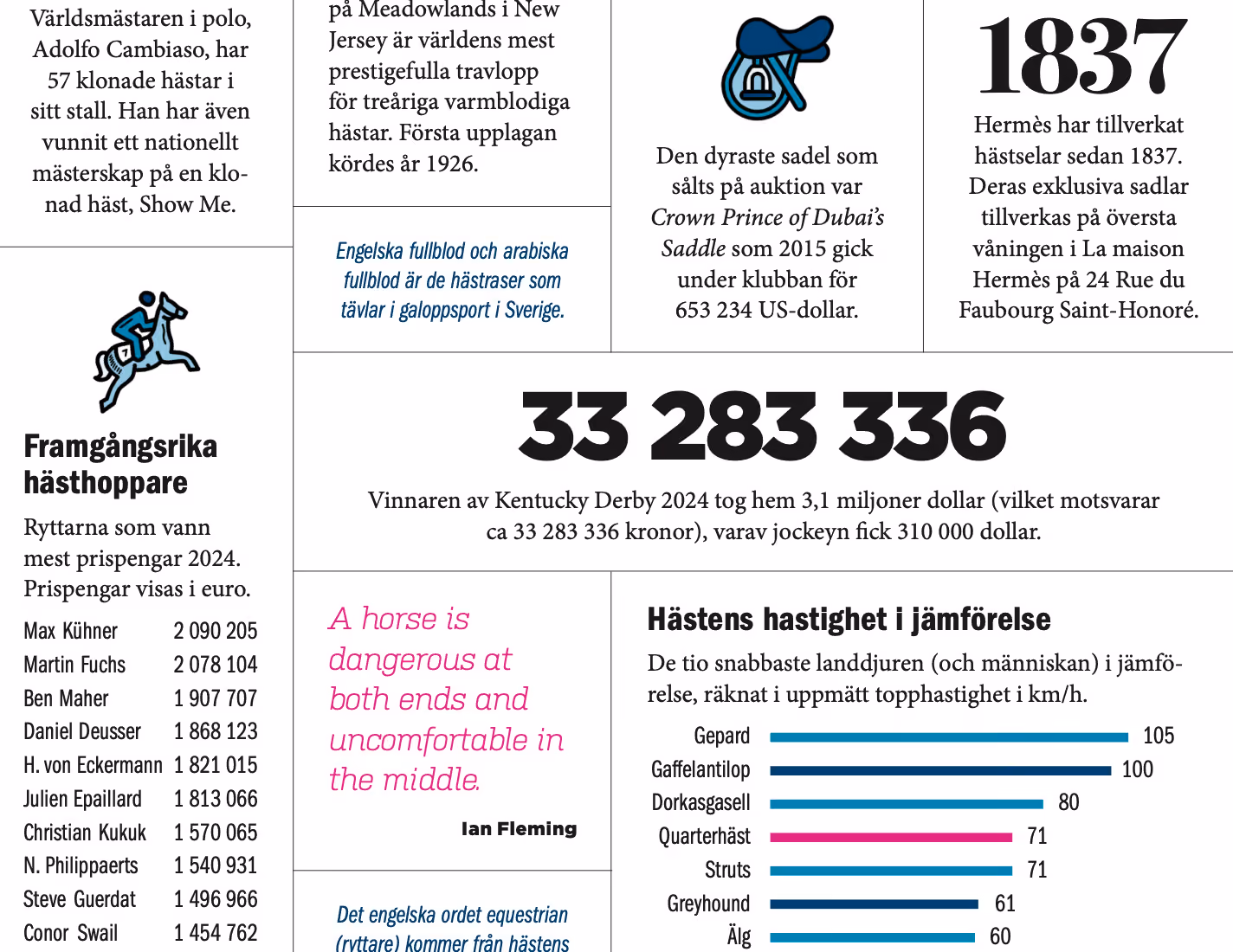 Hästsport