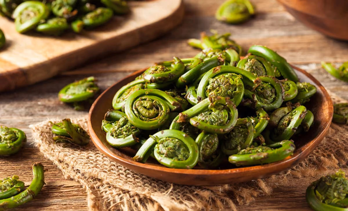 Fiddlehead ferns