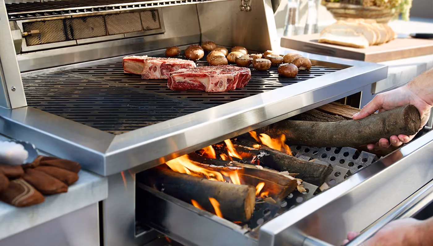 Hybridgrill
