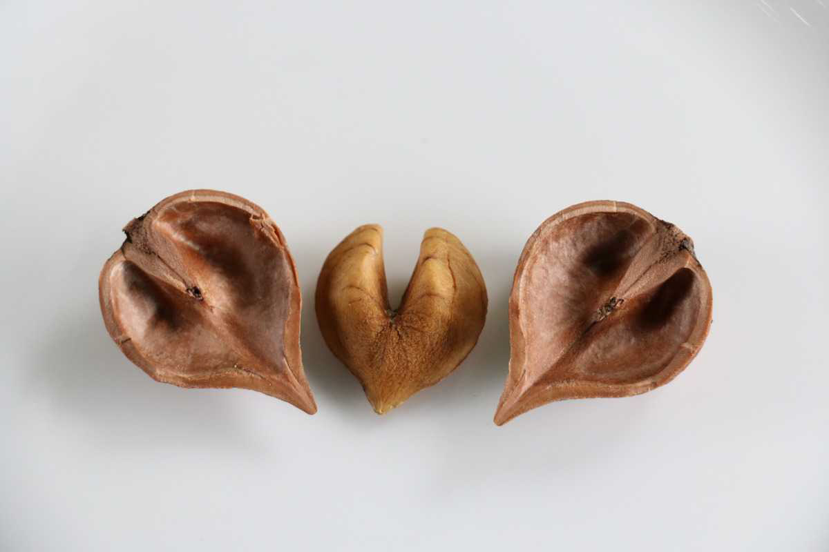 Hjärtformade valnötter