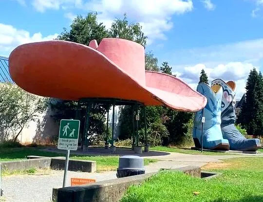 Största cowboyhatten