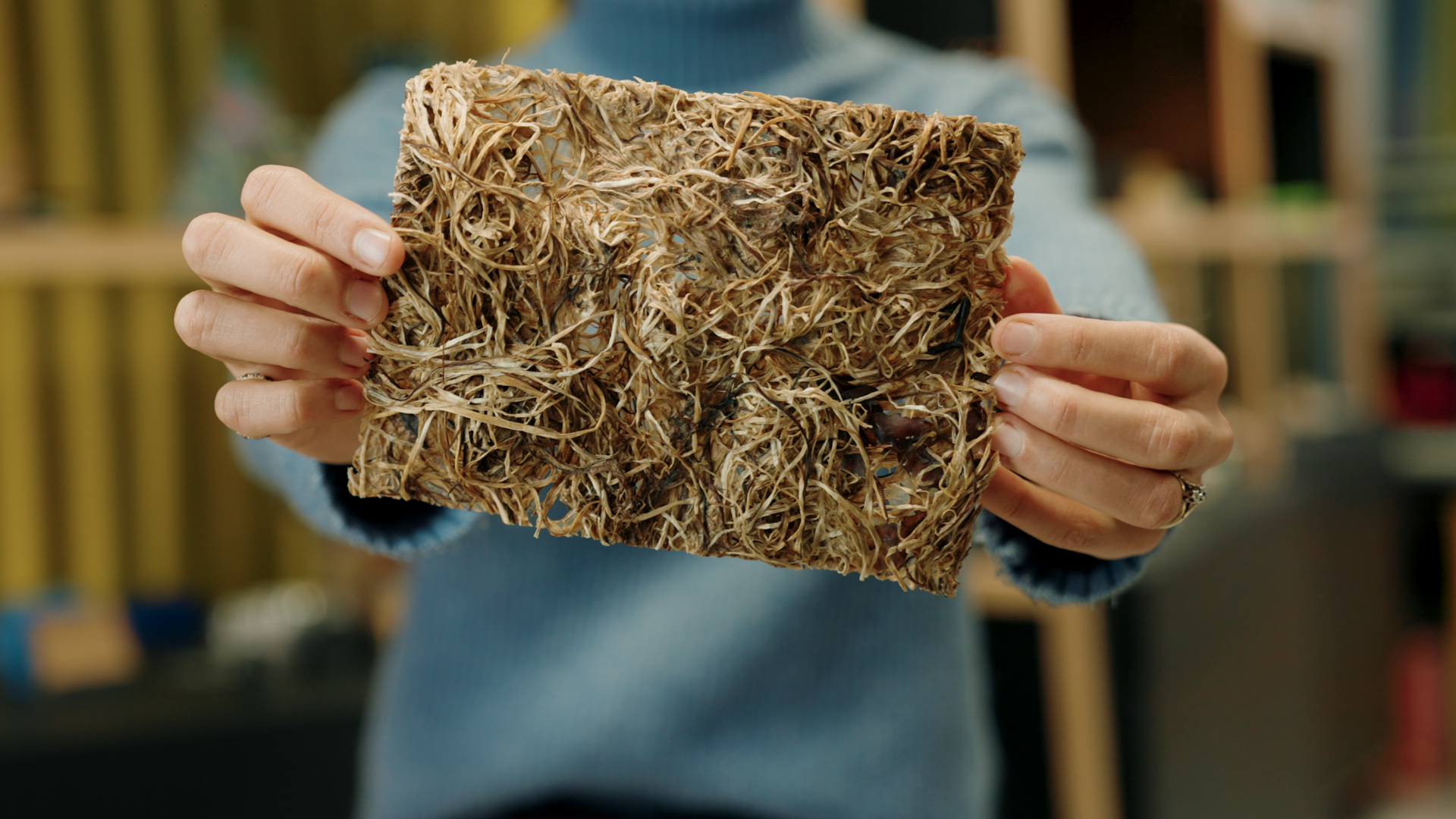 a person holding a sheet of alternative material made from seaweed