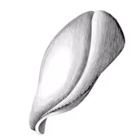 Medium