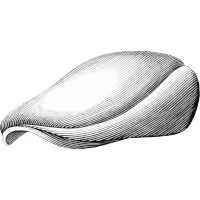 Meduim