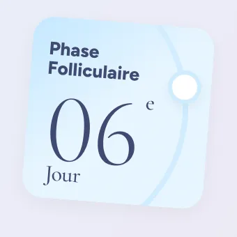 Phase folliculaire, jour 6