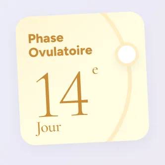 Phase ovulatoire, jour 14