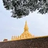 Best Things to do in Vientiane Laos