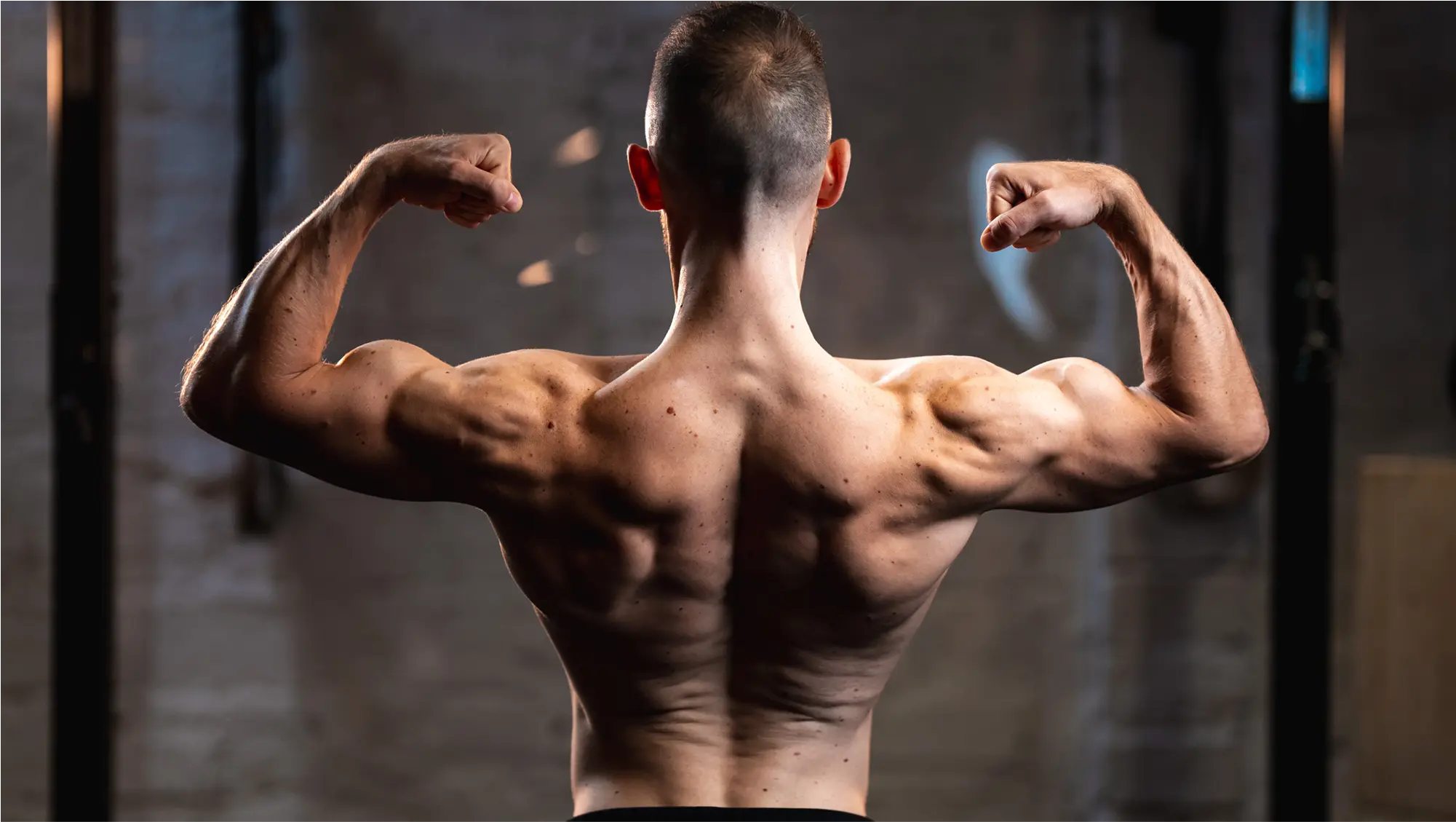 Muscler son dos efficacement