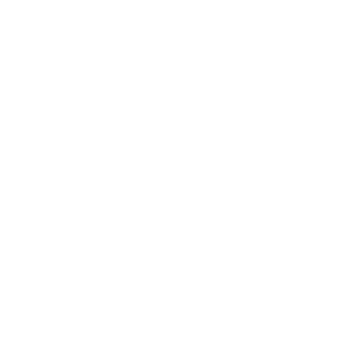 Fragen Icon