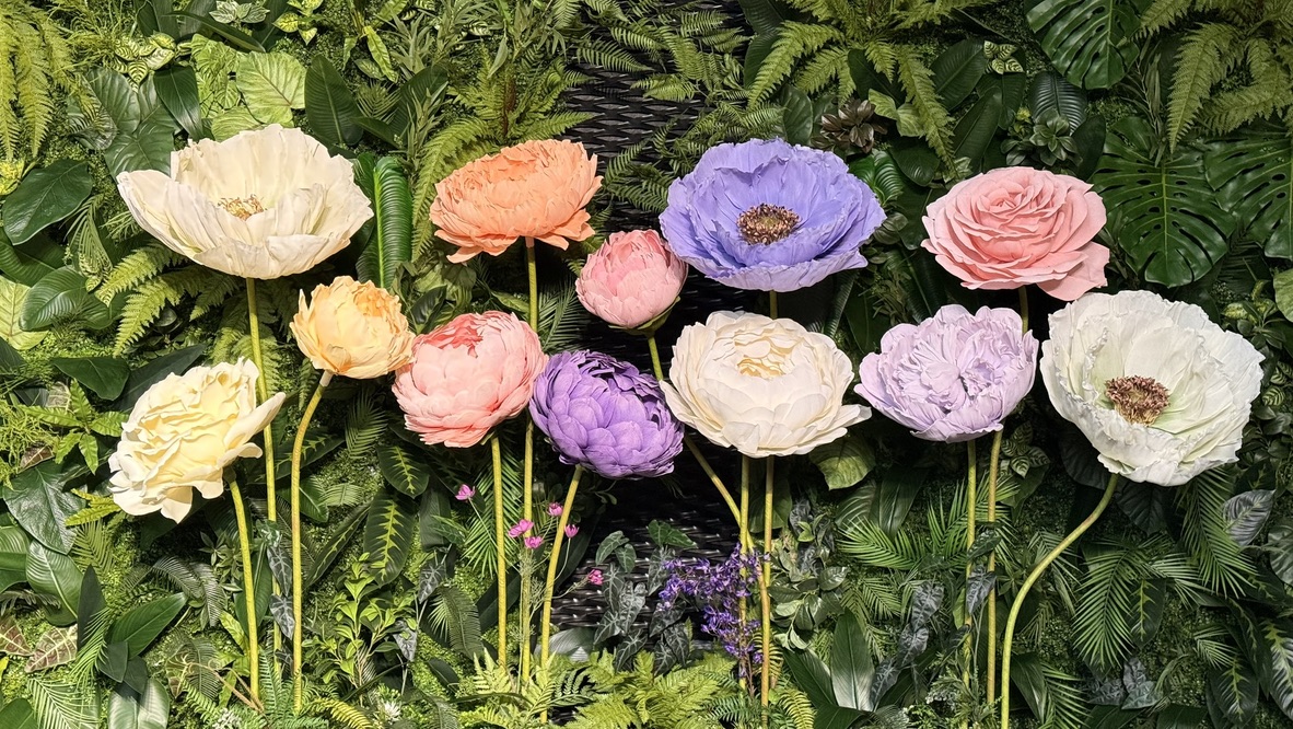 big flowers, Gigantyczne kwiaty piwonie Fiori di Matis