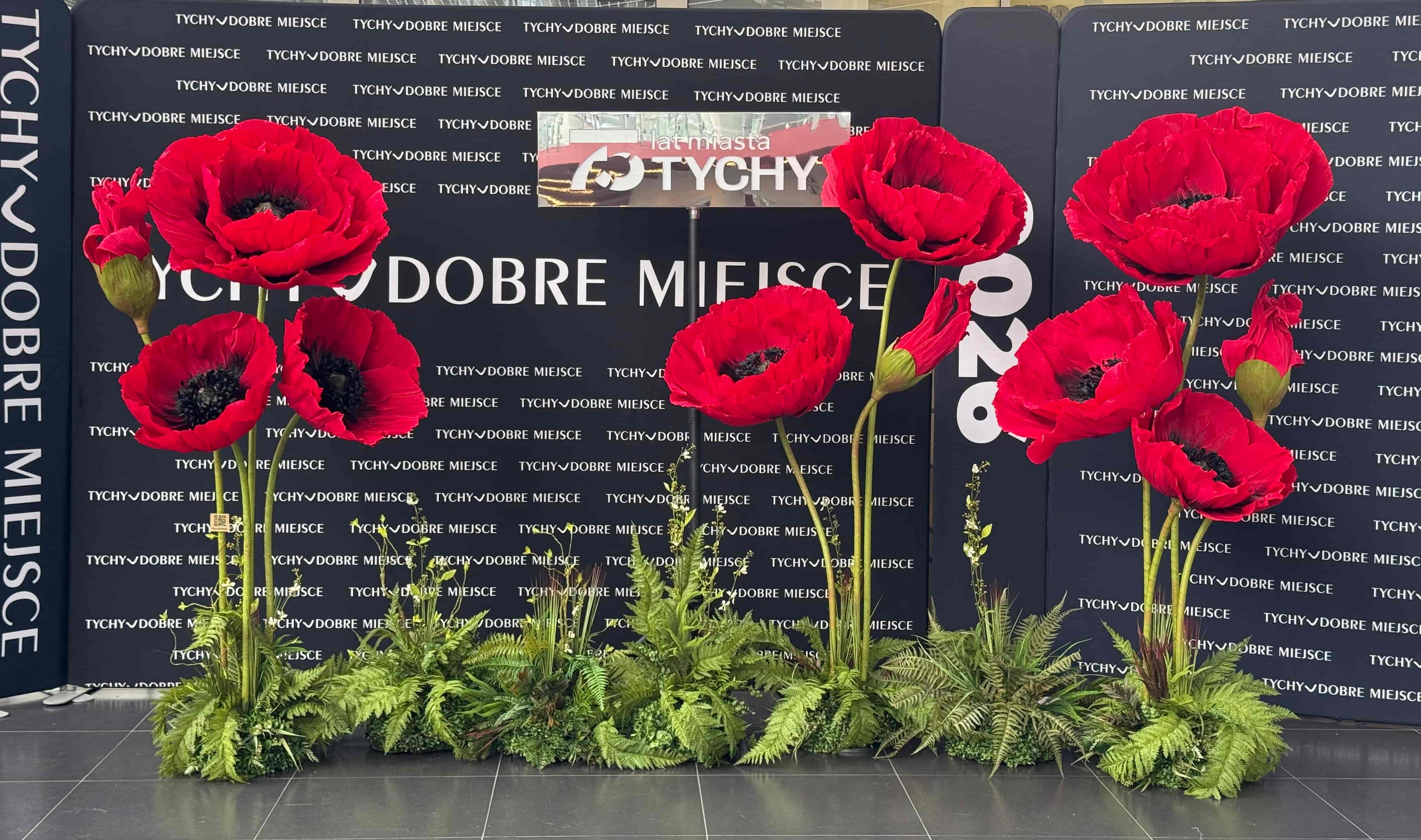 Large artificial red poppies with green ferns in front of a backdrop reading Tychy Dobre Miejsce.