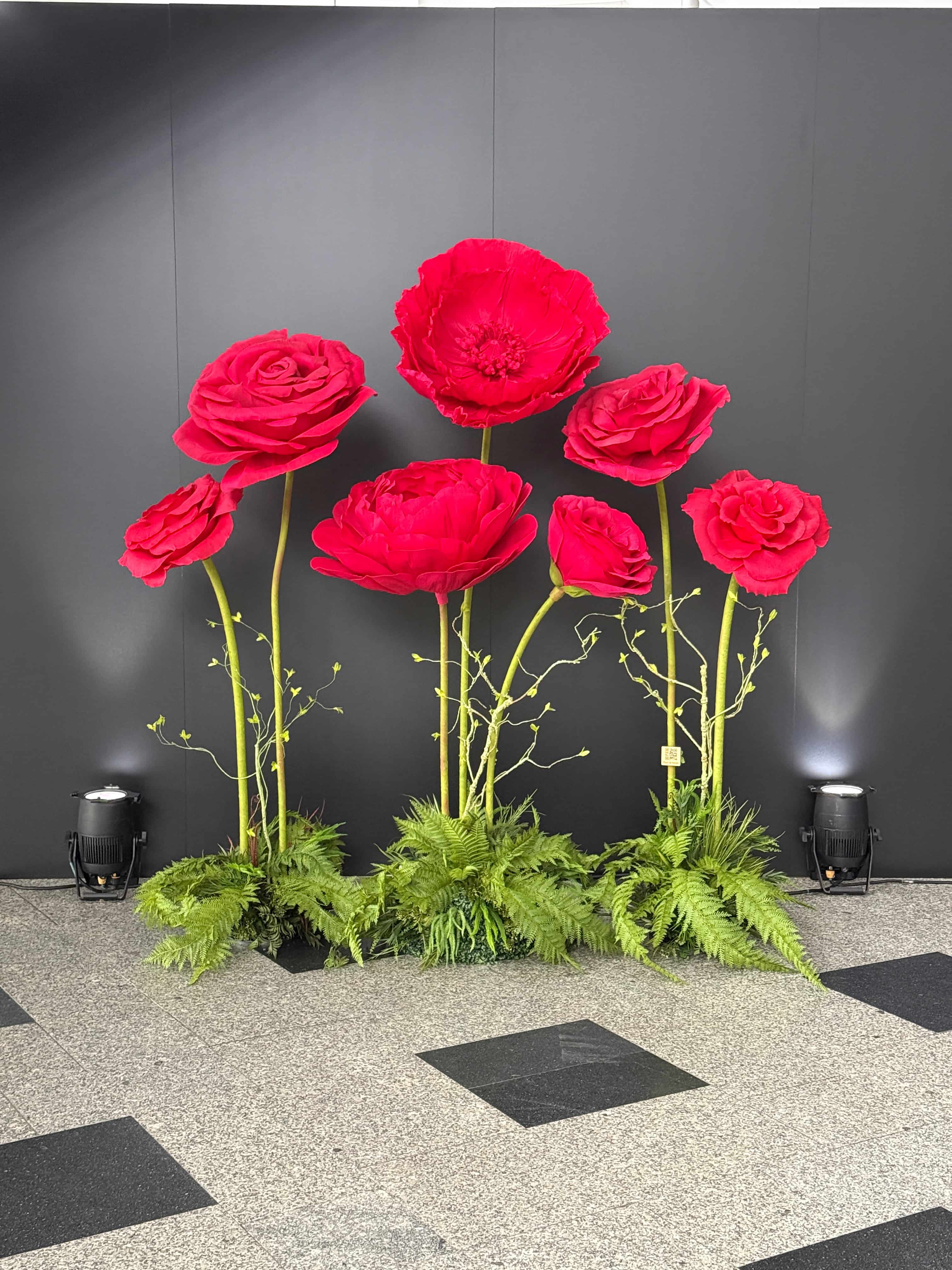 big flowers, Gigantyczne kwiaty piwonie Fiori di Matis