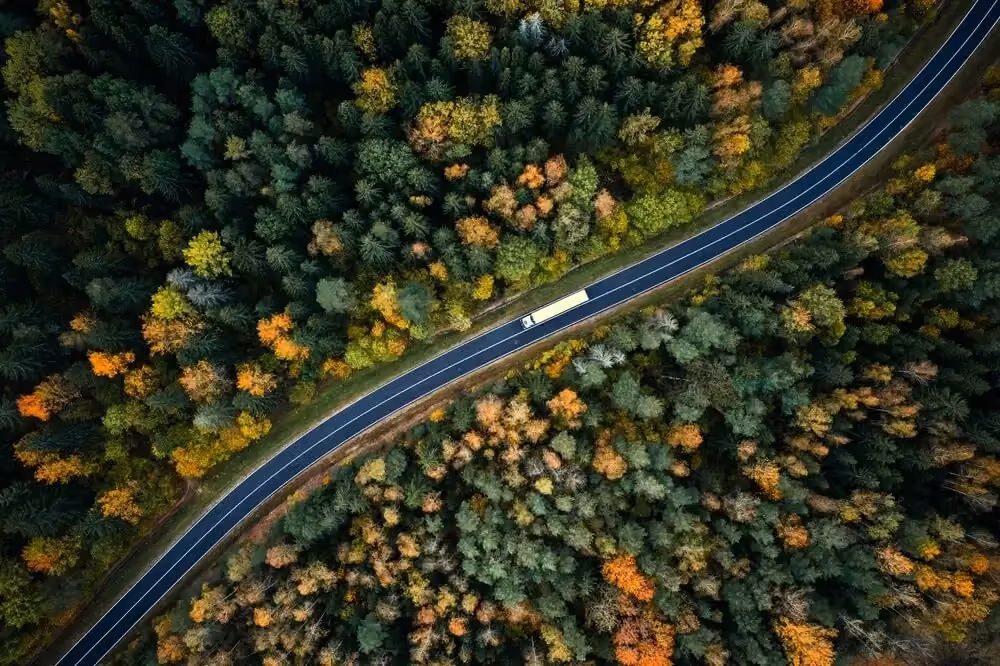 Aerial view of a truck driving on a road cutting through dense autumn forest with green and orange trees.