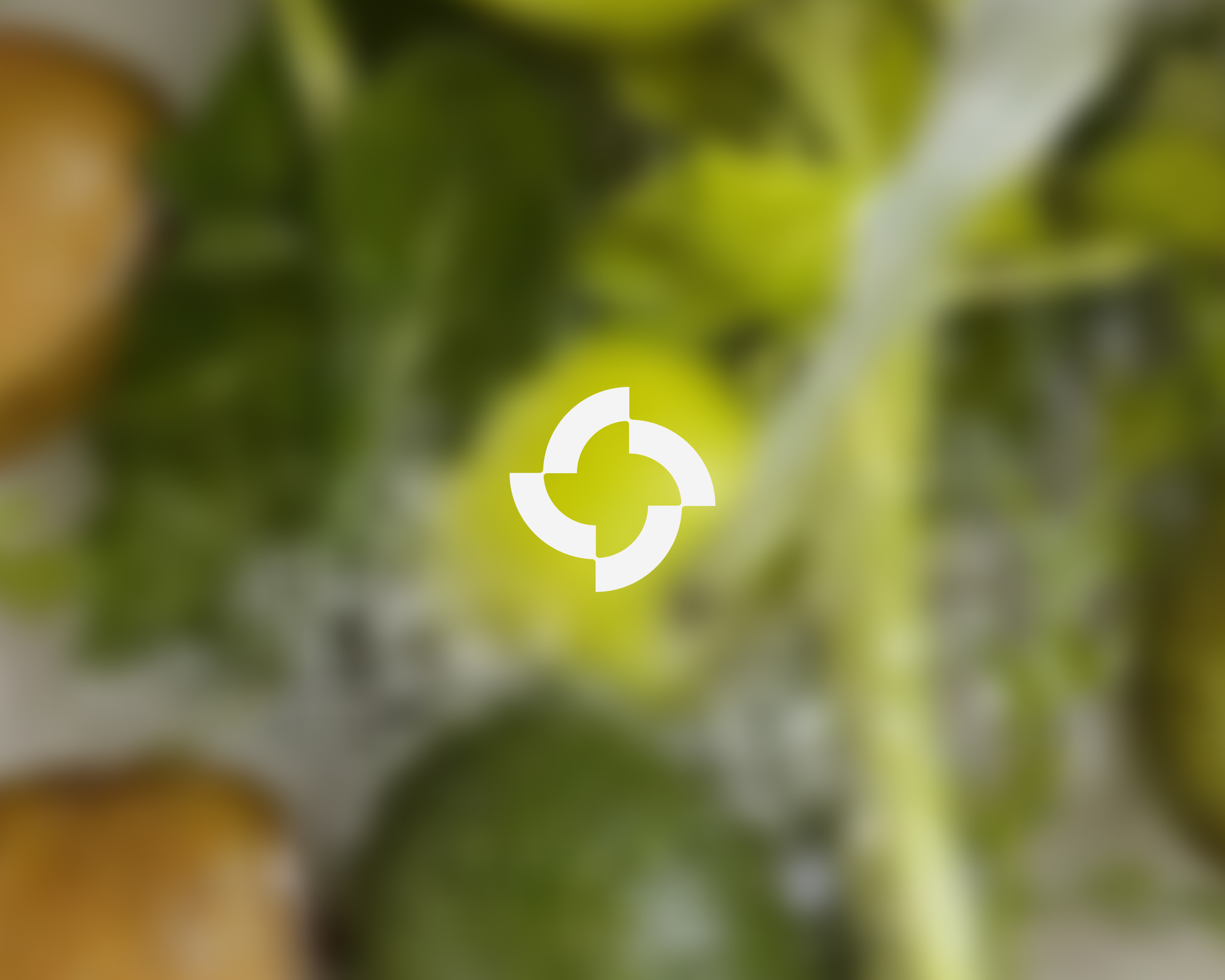 Latest insights from Whipsaw