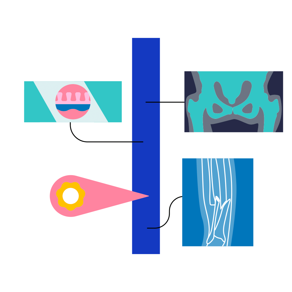 Imaging Data