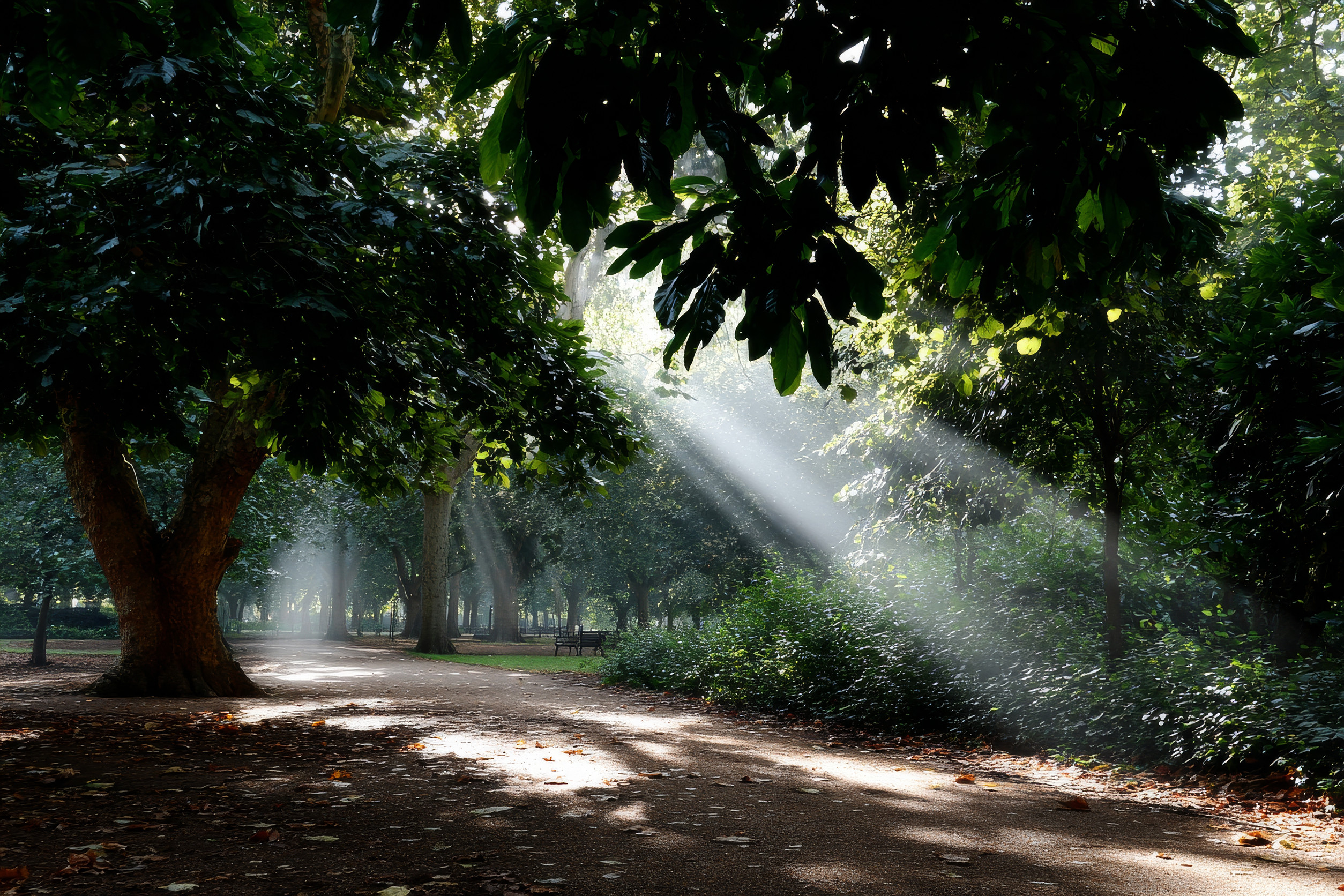 Tree Injections vs. Sprays: Which Treatment Works Best?