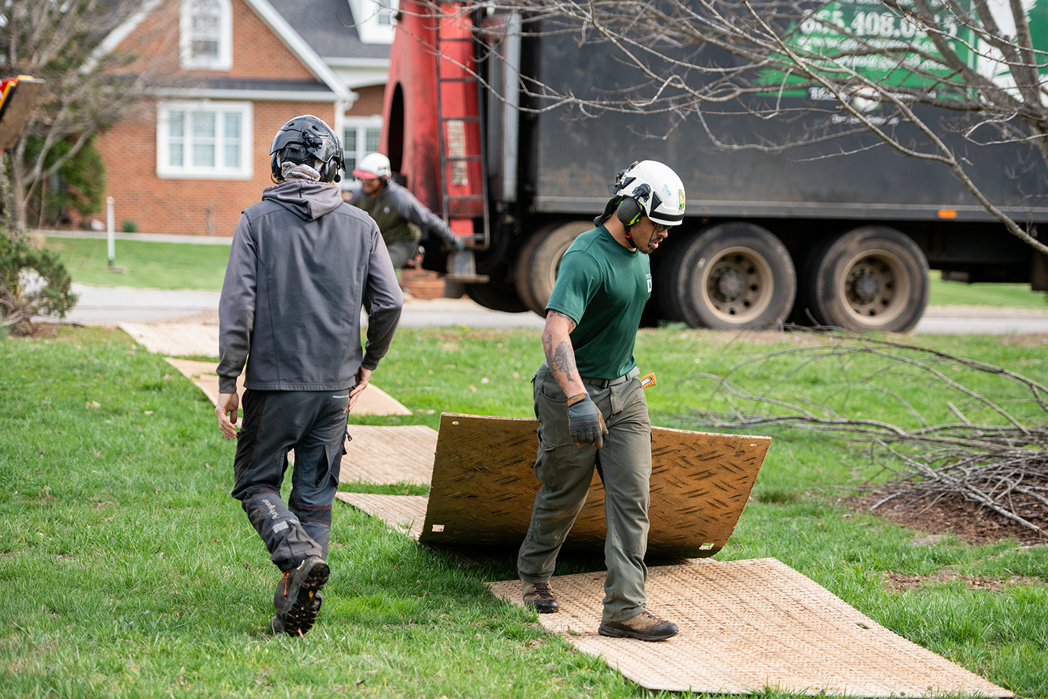 What Questions to Ask Before Hiring a Tree Company