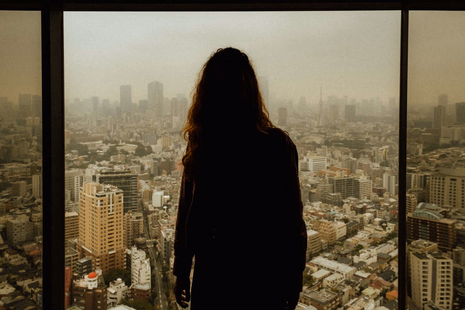 Japan, revisited