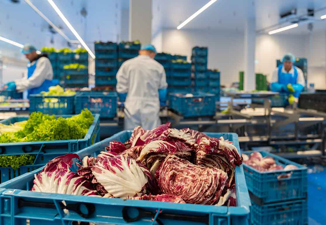 Snijderij Van Gelder