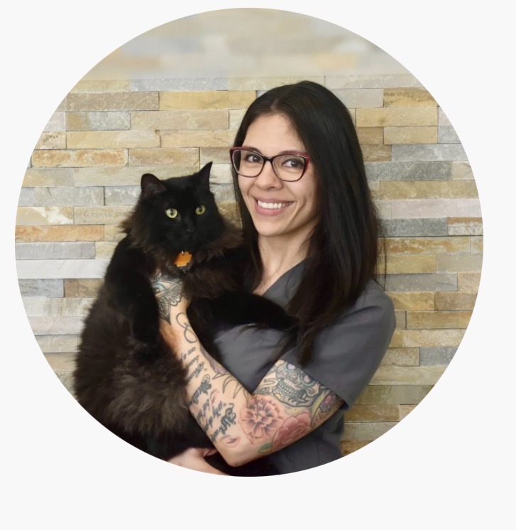 Doctor's Headshot