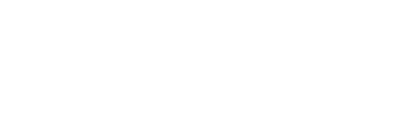 trace enterprises logo