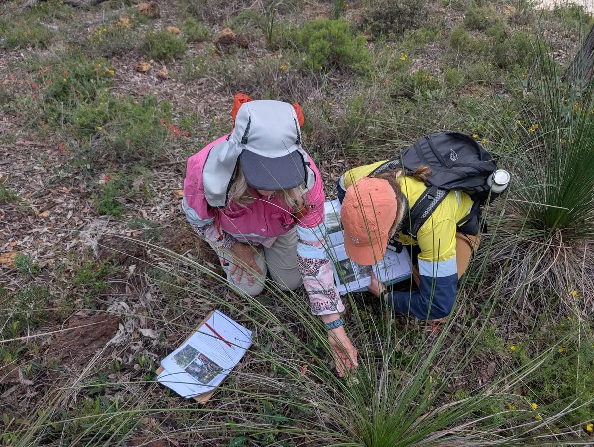 Trace botanists recording plants during a flora survey