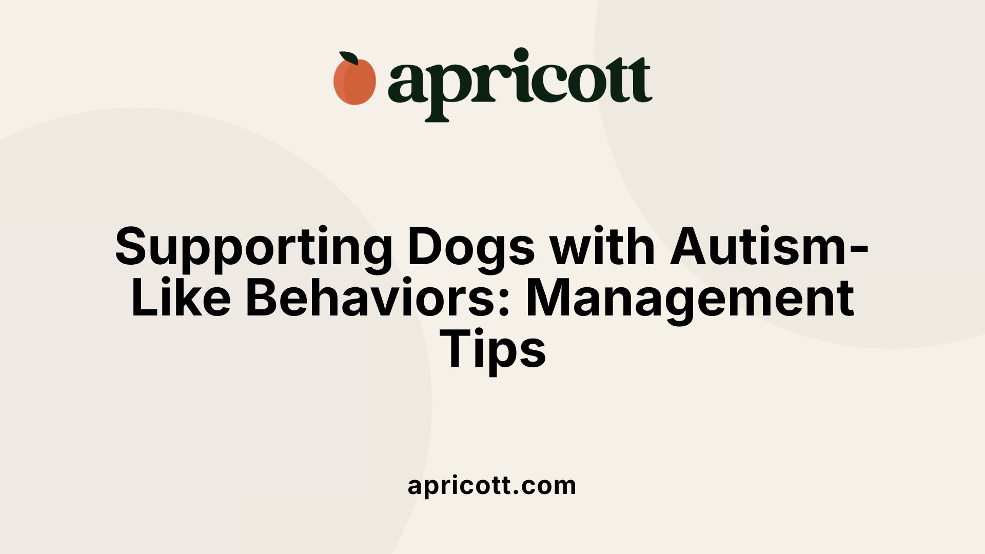 Supporting Dogs with Autism-Like Behaviors: Management Tips