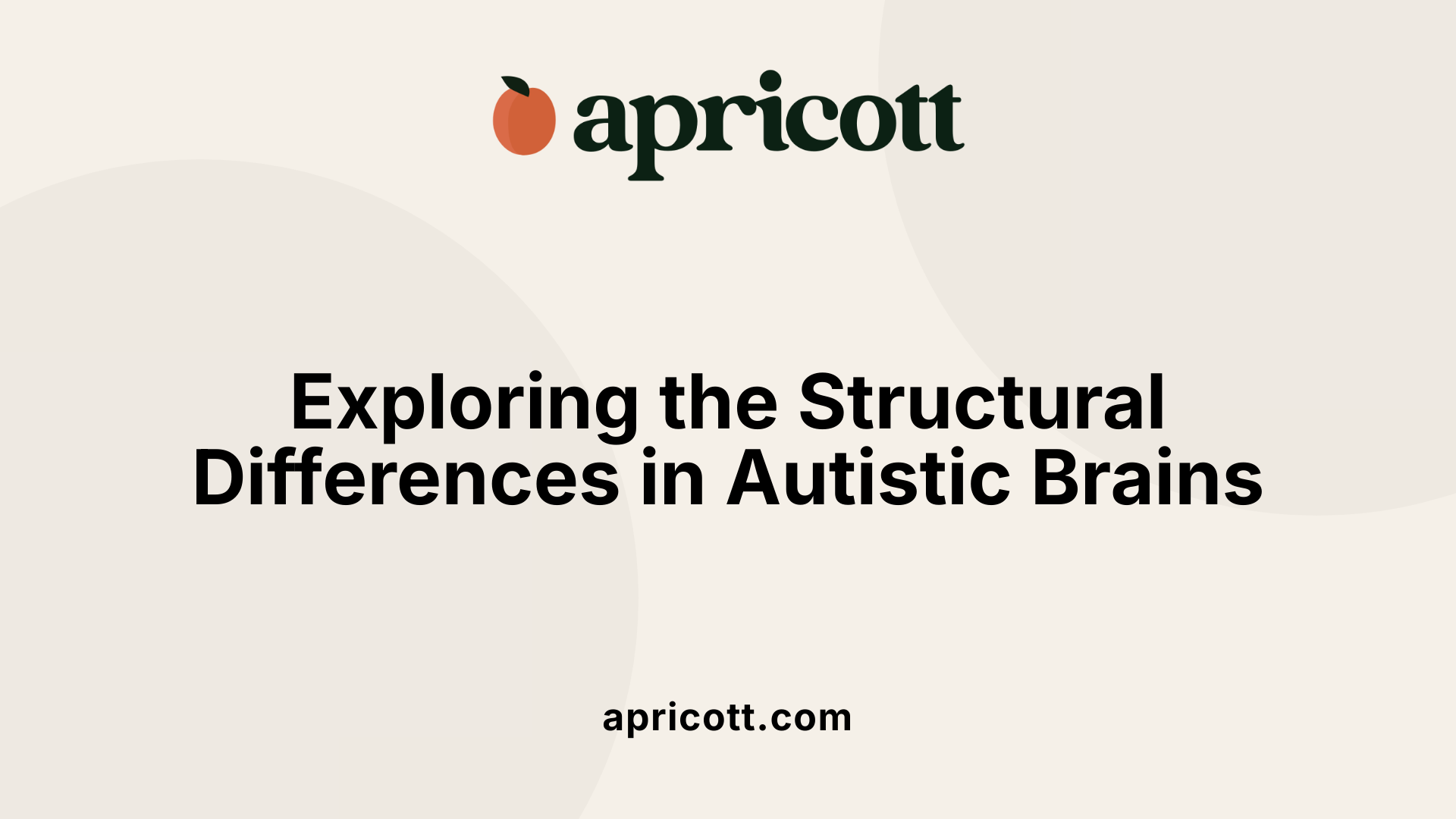 Exploring the Structural Differences in Autistic Brains
