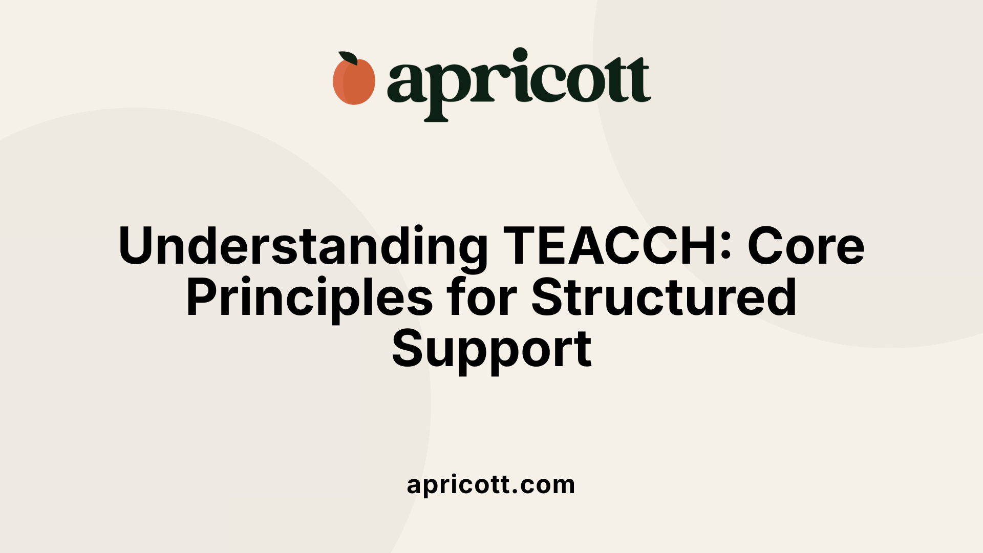 Understanding TEACCH: Core Principles for Structured Support