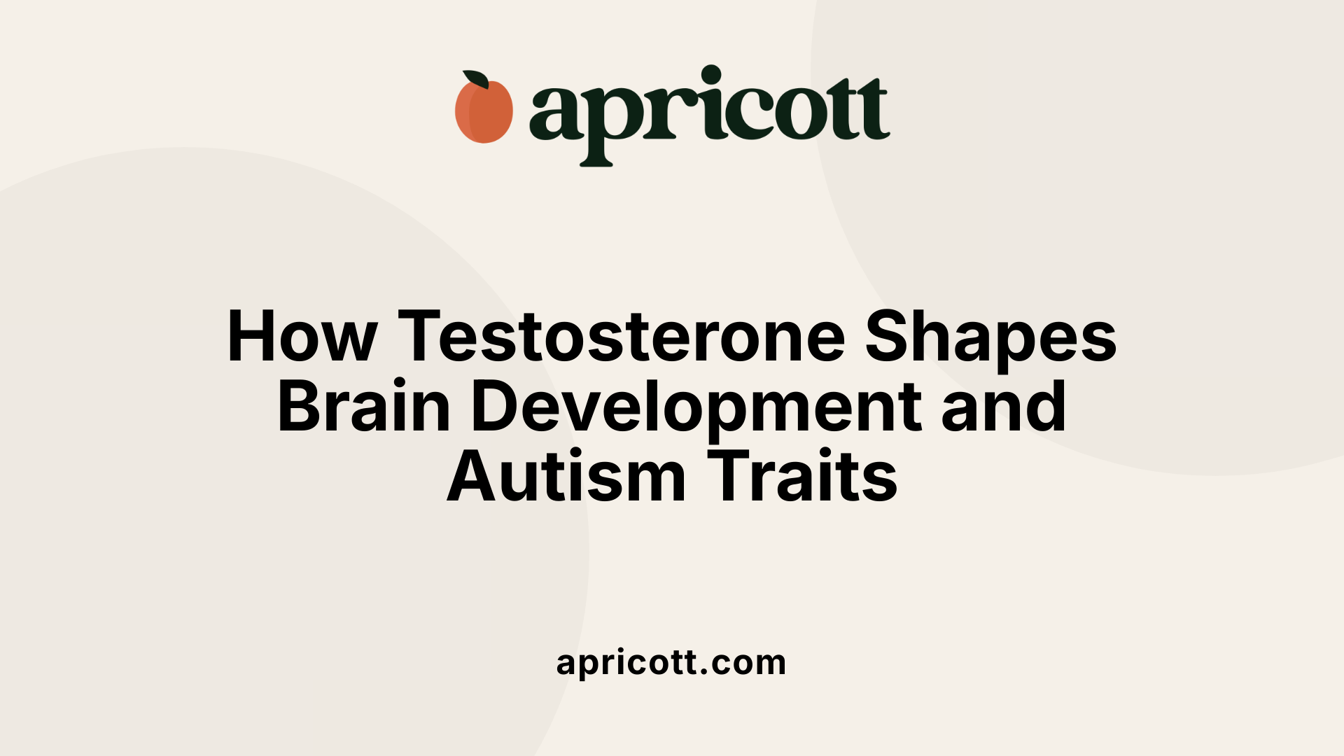 How Testosterone Shapes Brain Development and Autism Traits