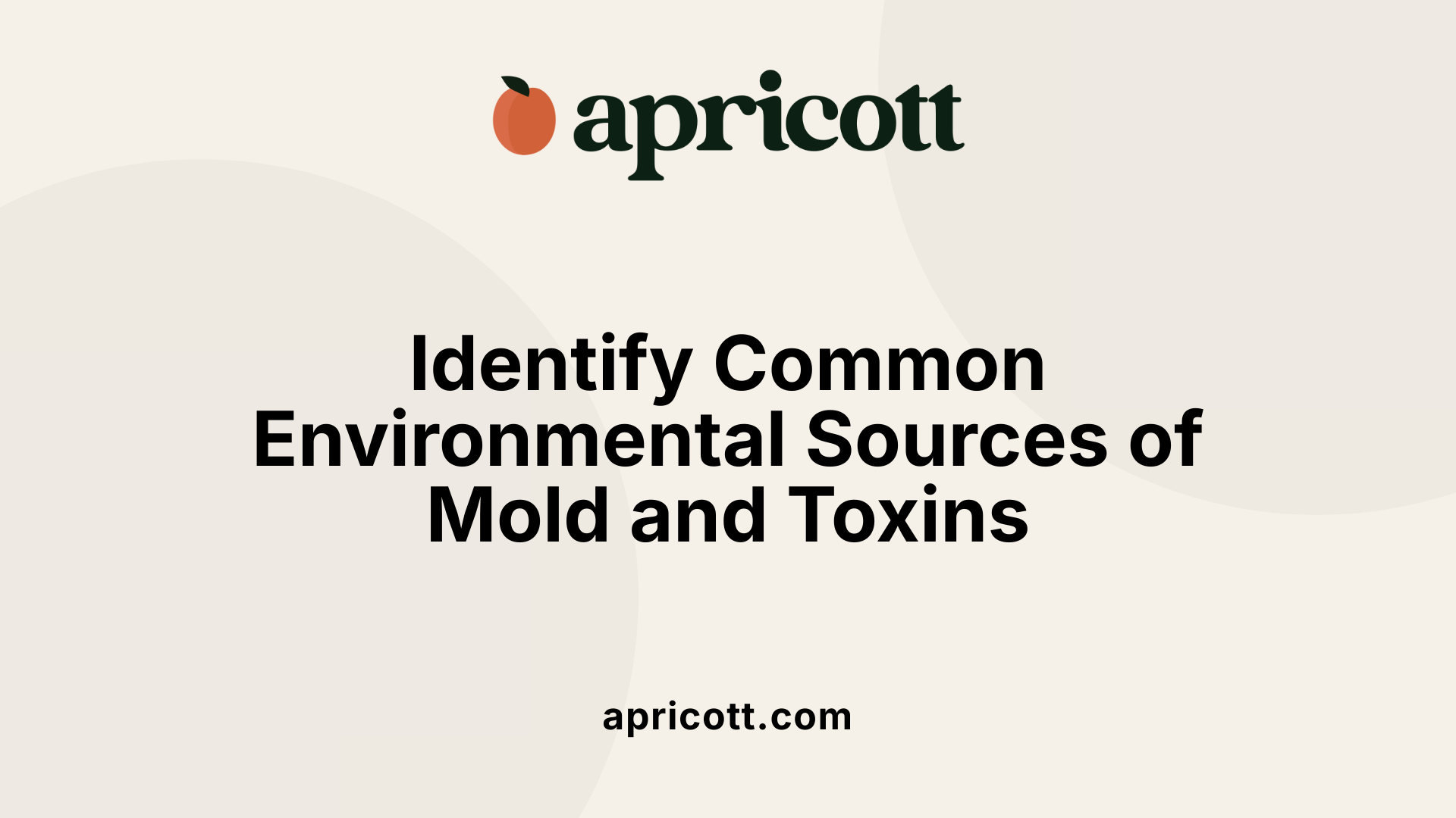 Identify Common Environmental Sources of Mold and Toxins