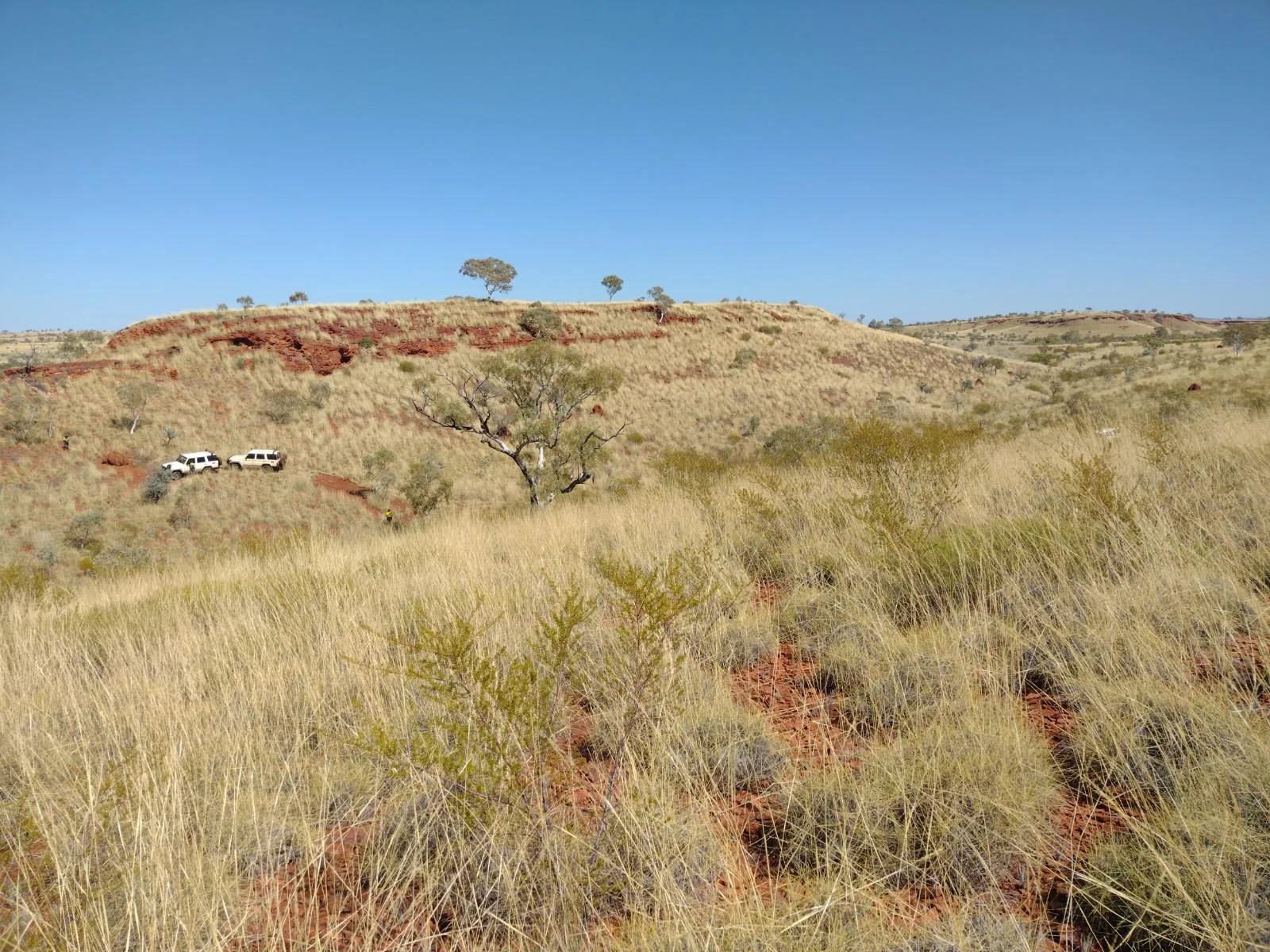 Survey vehicles below a spinifex-covered hill