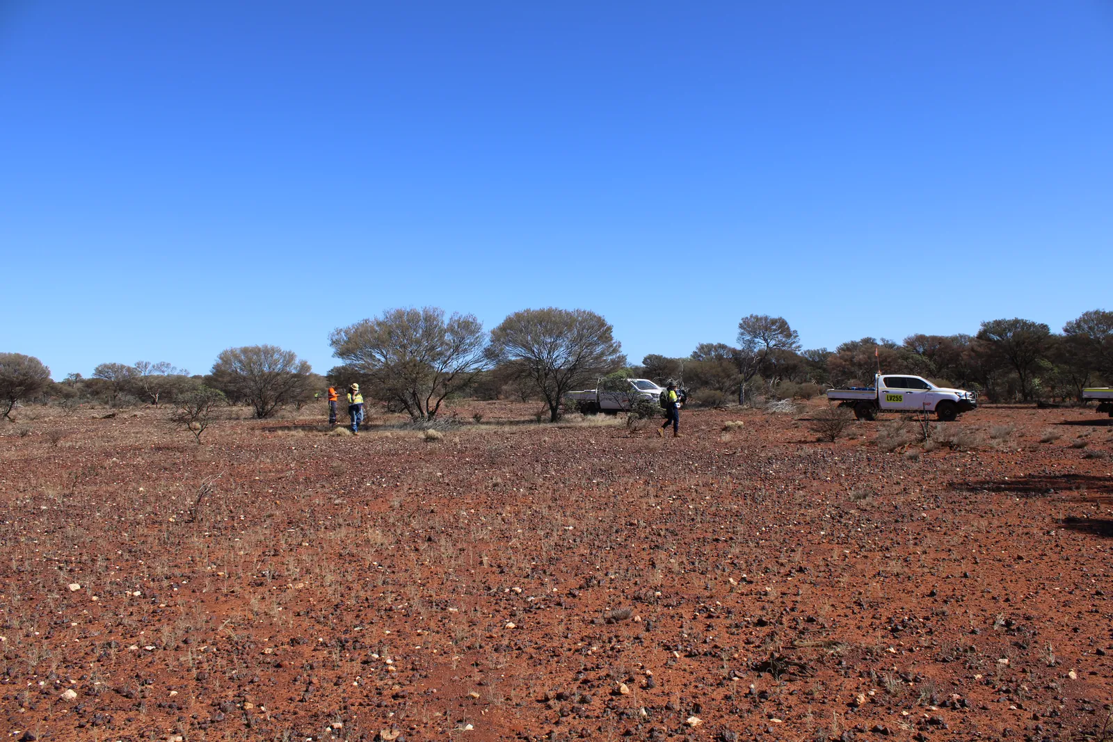 Field team working across an open red-earth plain