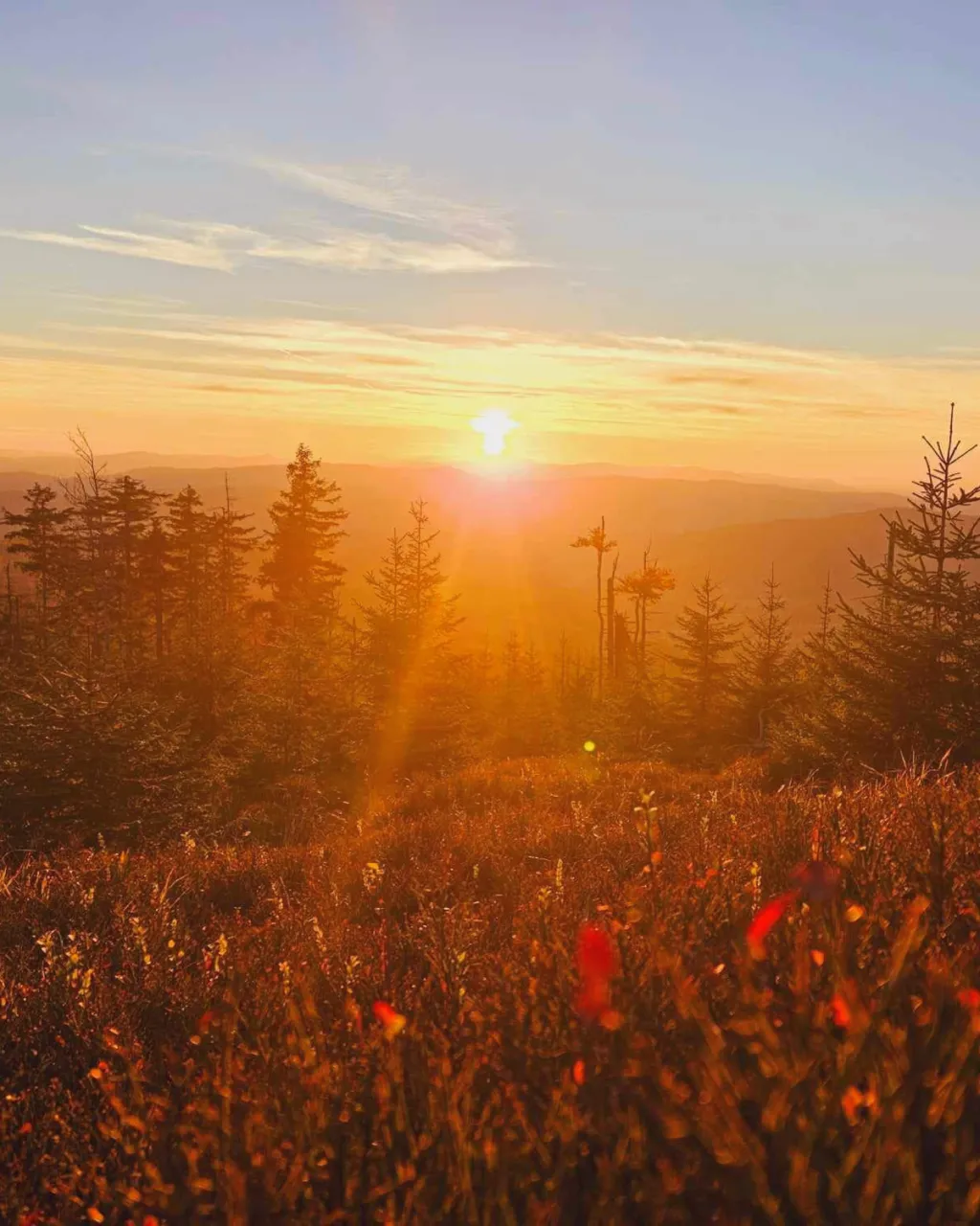 miłośników sportów zimowych