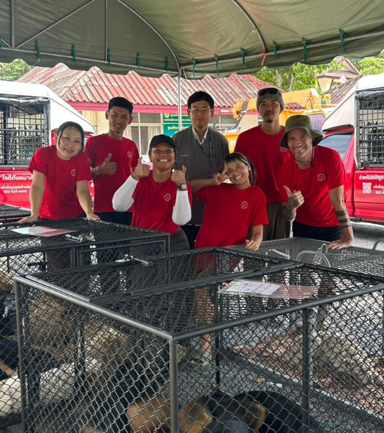 Niall Harbison dog walks