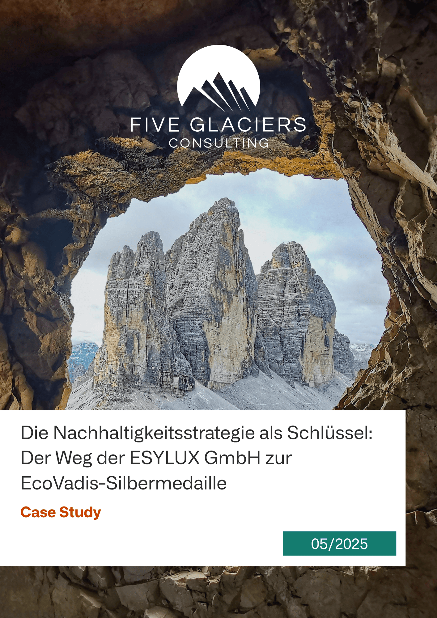 Esylux-EcoVadis-Rating