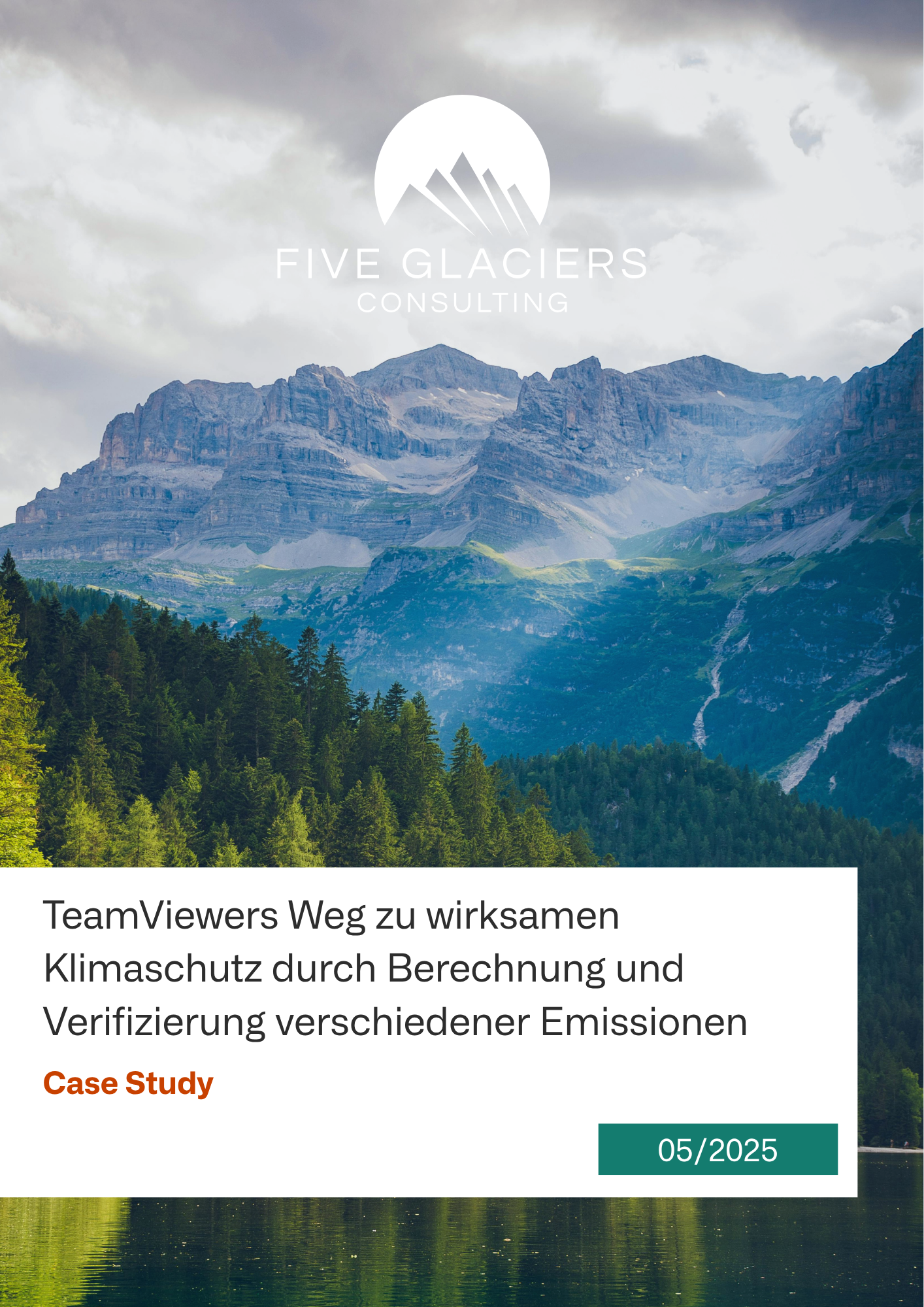 TeamViewer-Scope 3