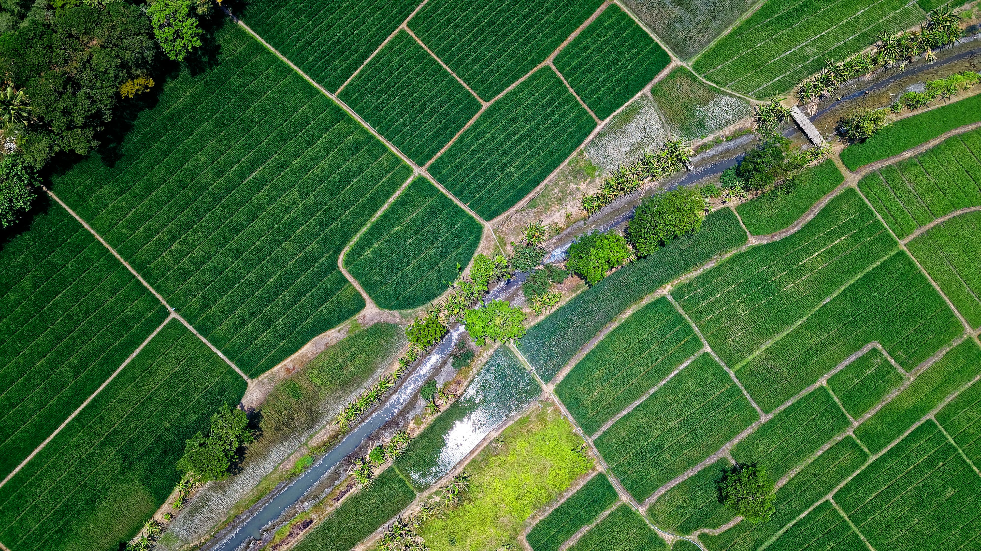 Aerial view of fields showing Land Use Change in Agriclture