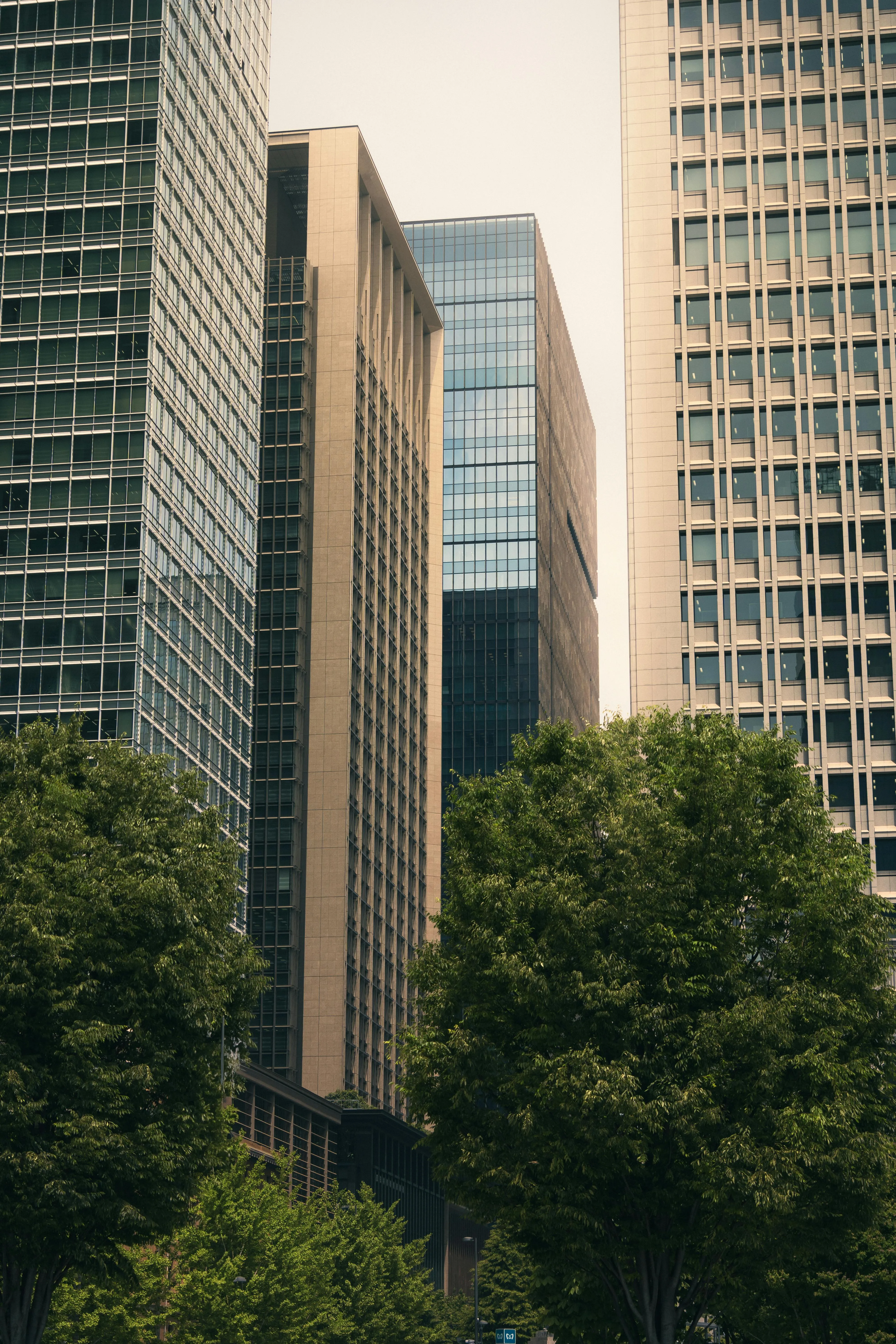 Validierung von Carbon Footprint & Klimaziele