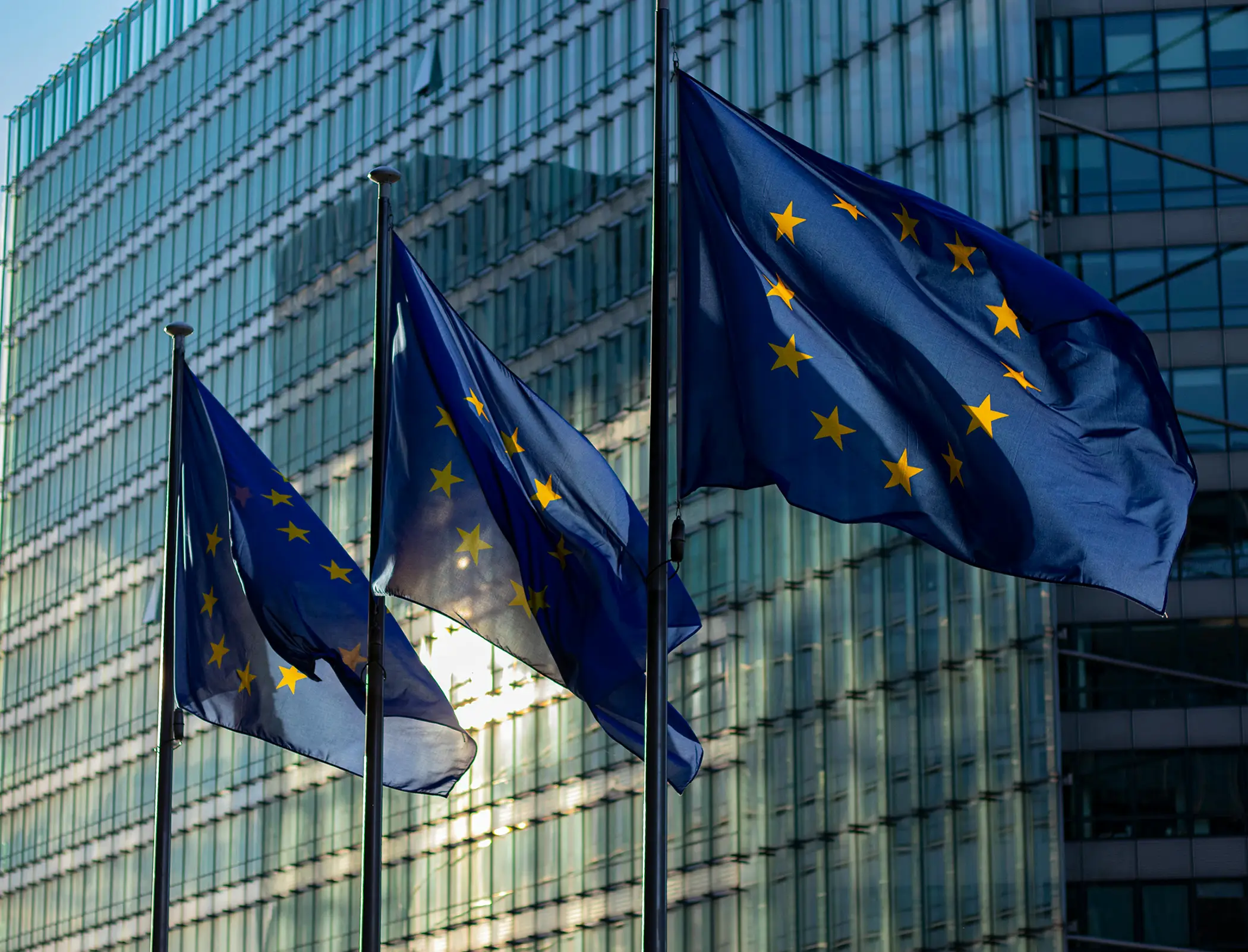 ESRS 2: Alle Angabepflichten und was sich geändert hat