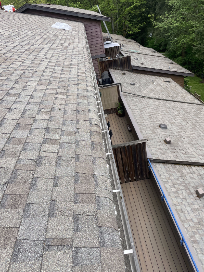 Multi-family housing roofs with shingles.