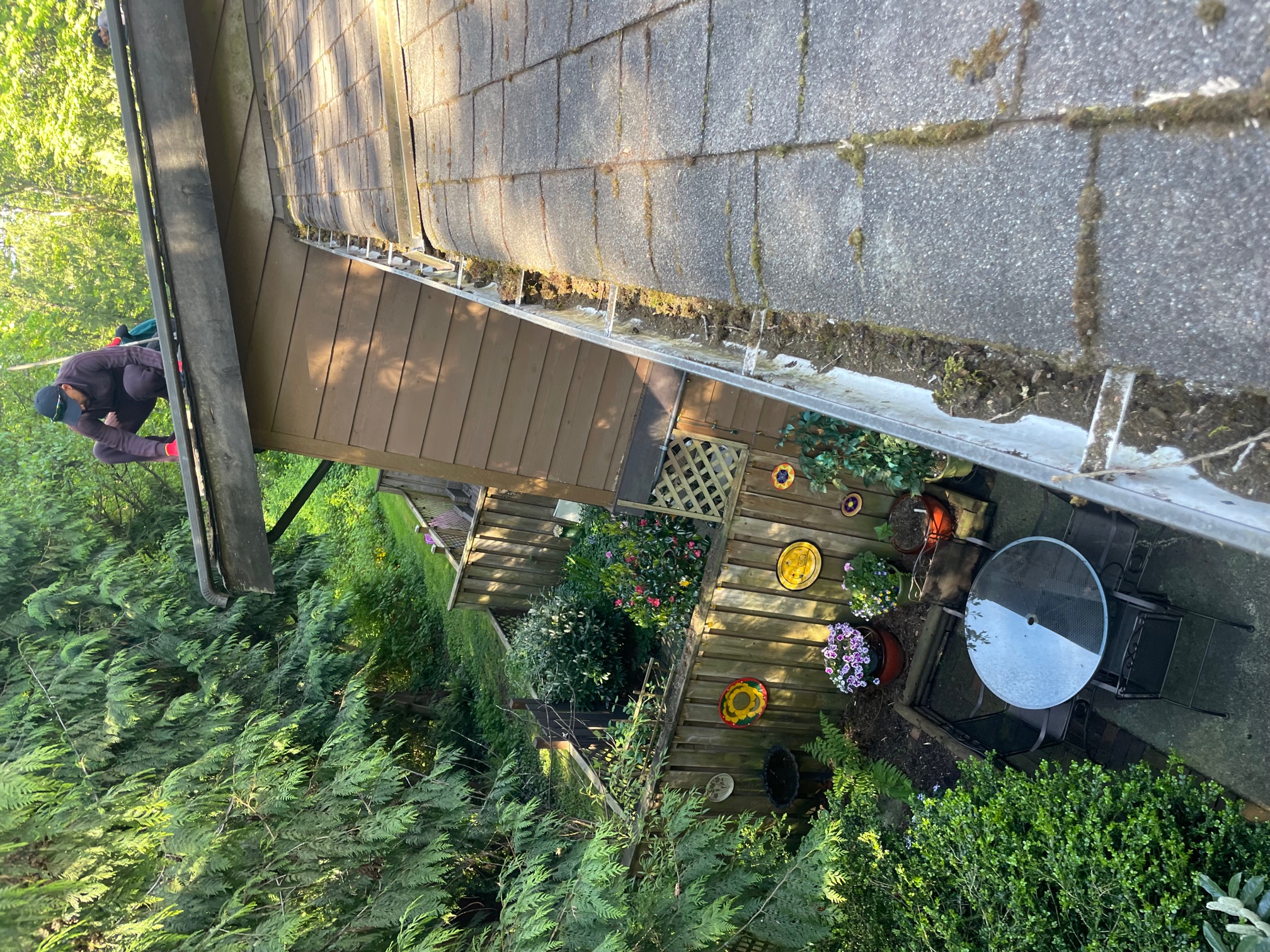 A person performing roof repair in Delta, standing on the edge of a sloped roof. The view shows a garden below with various plants, flowers, and a round table. Tall trees are visible on the sides.