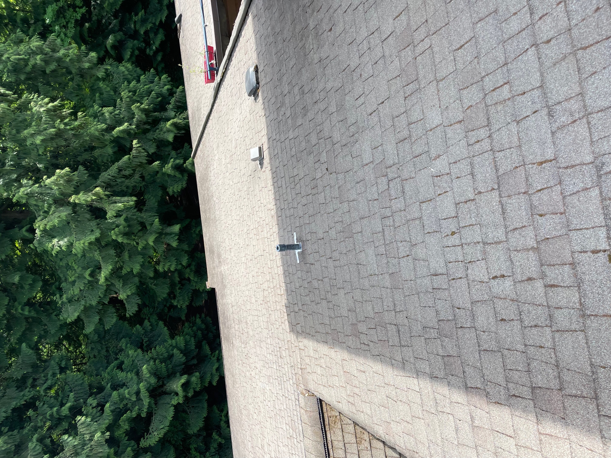 A close-up view of a light-colored shingled roof with a textured surface. Two metal fixtures are visible on the roof, with trees in the background providing a natural contrast. The roof appears to be in good condition, typical of a coquitlam shingled roof.