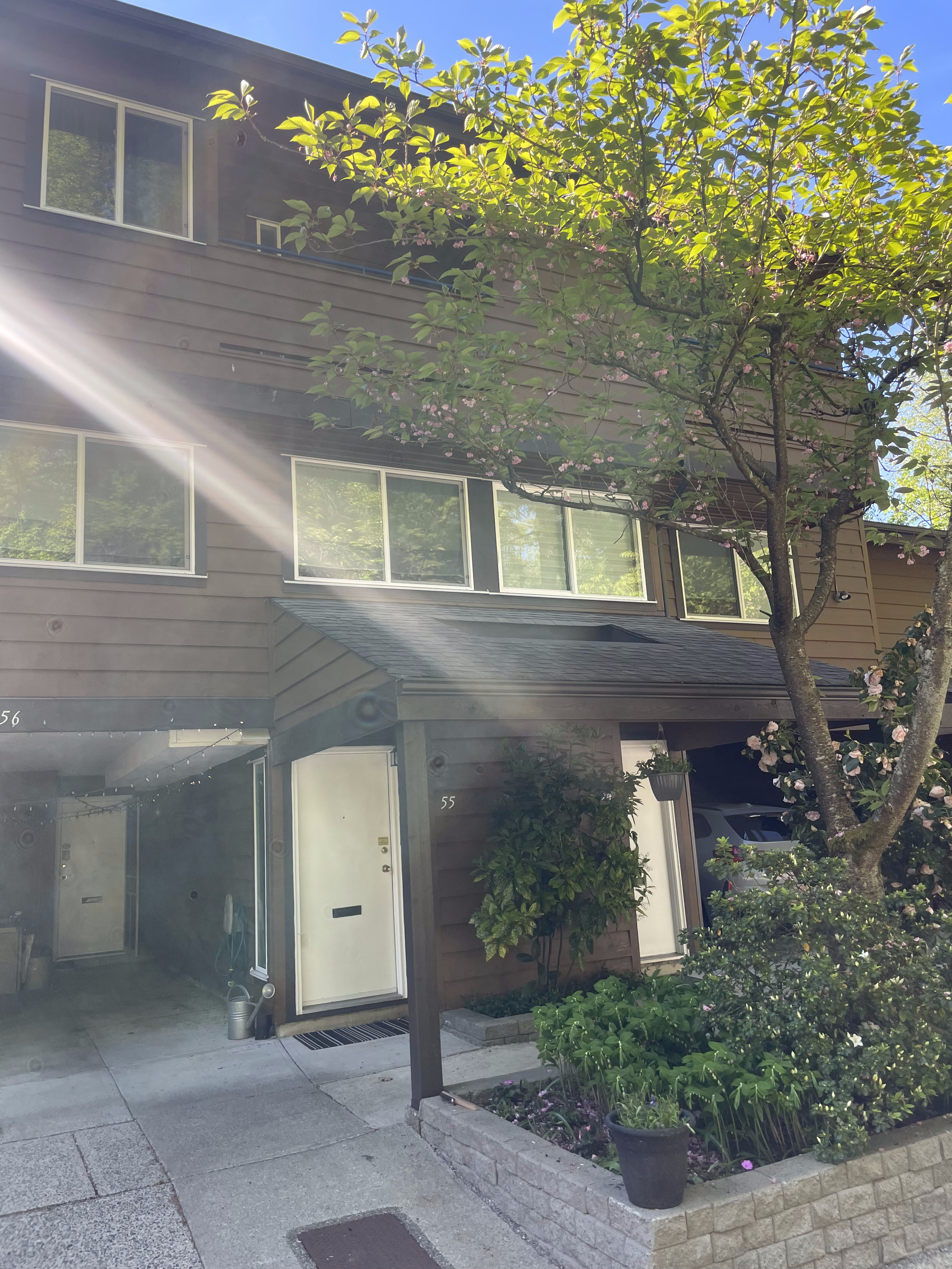 A townhouse with a wooden exterior, featuring multiple windows and a front door. Green trees and flowering plants surround the entrance. Sunlight shines down, creating a warm ambiance in the scene.