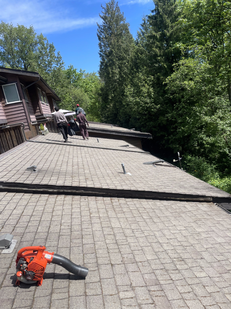 Two workers on a sloped roof covered with shingles, surrounded by trees. A leaf blower is placed on the roof. The scene depicts roof repair activities in a residential area.