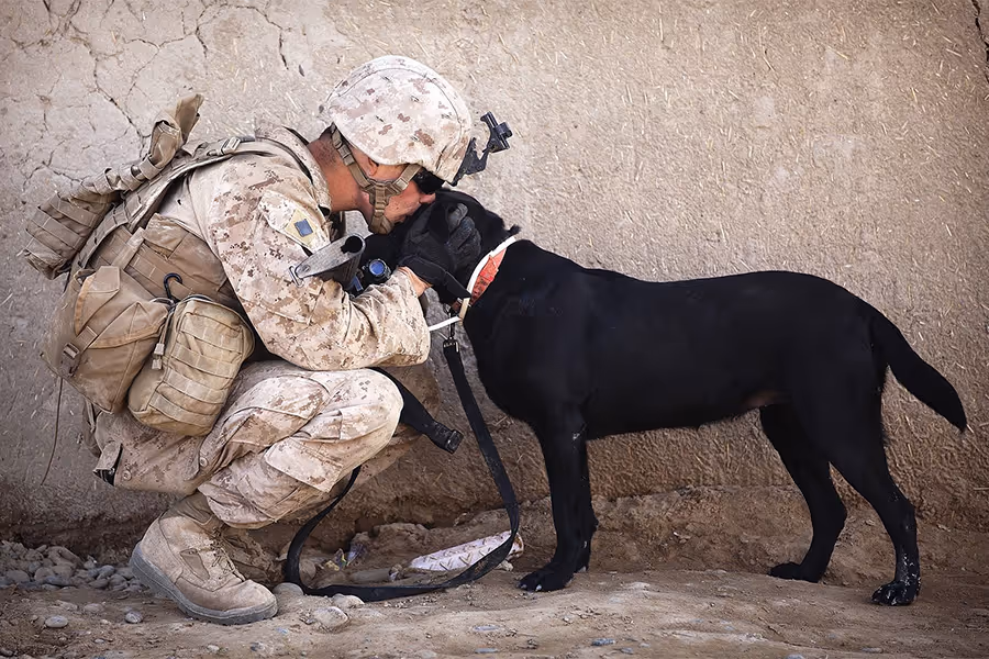 A soldier kisses a black dog on the head 