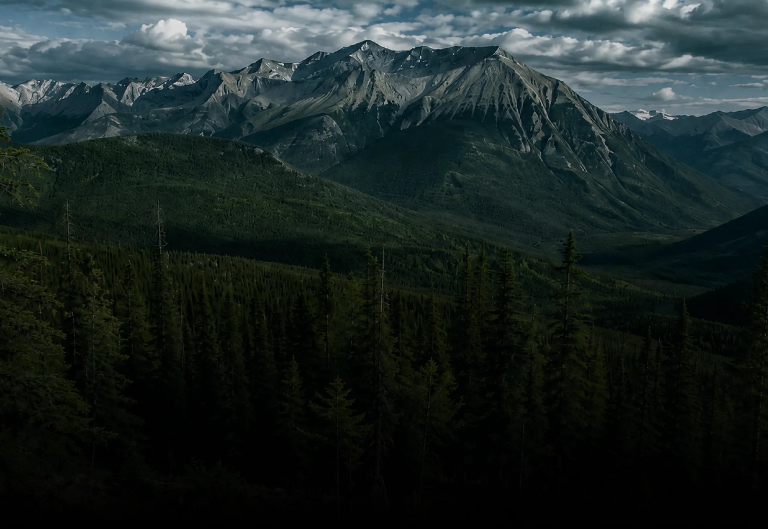 Forested mountain valley