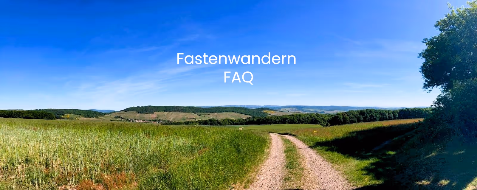 Ländliche Landschaft mit Feldweg, grünen Wiesen und bewaldeten Hügeln