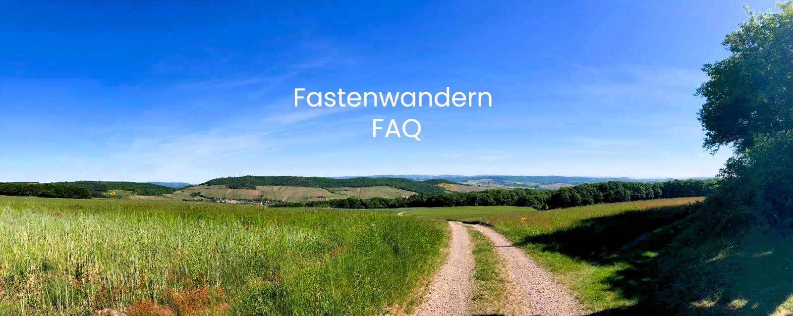 Ländliche Landschaft mit Feldweg, grünen Wiesen und bewaldeten Hügeln