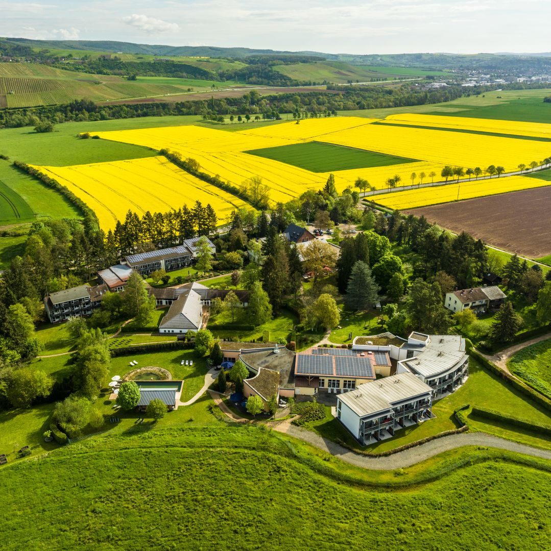 Luftaufnahme von Rapsfeldern und Gebäuden in ländlicher Landschaft